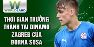 Thời gian trưởng thành tại dinamo zagreb của borna sosa