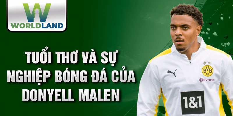 Tuổi thơ và sự nghiệp bóng đá của donyell malen