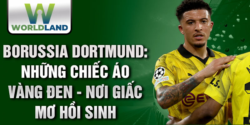 Borussia Dortmund: những chiếc áo vàng đen - Nơi giấc mơ hồi sinh