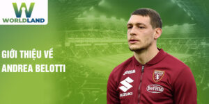 Giới thiệu về andrea belotti