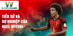 Tiểu sử và sự nghiệp của axel witsel