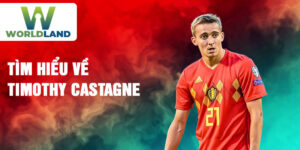 Tìm hiểu về timothy castagne