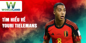 Tìm hiểu về youri tielemans