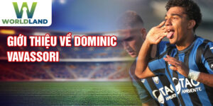 Giới thiệu về dominic vavassori