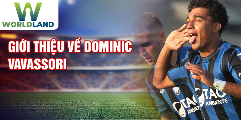 Giới thiệu về Dominic Vavassori
