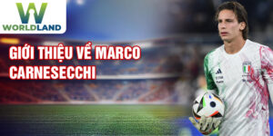 Giới thiệu về Marco Carnesecchi