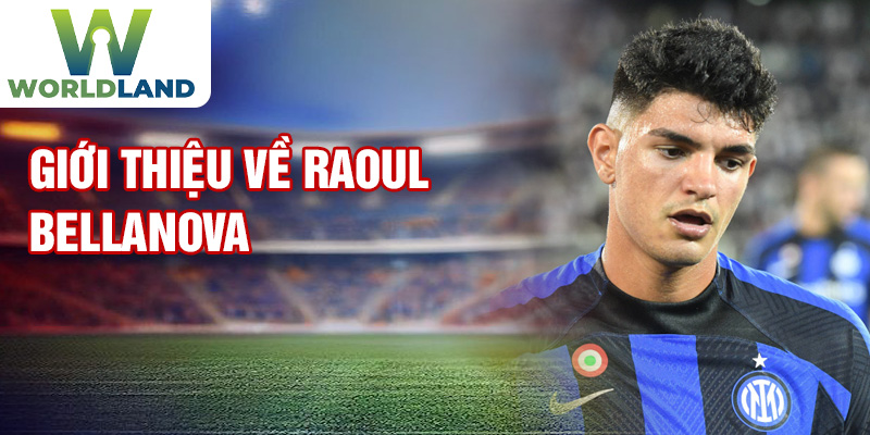 Giới thiệu về Raoul Bellanova